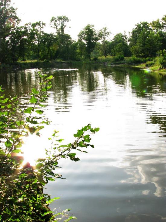 Богородичне з panoramio.com - Богородичное