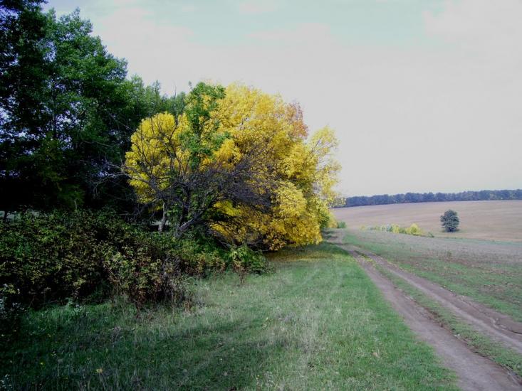 Романівка з panoramio.com - Романівка