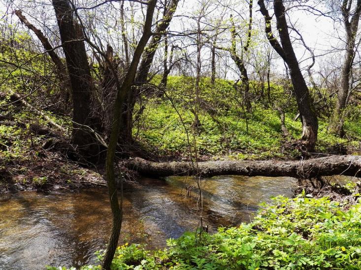 Ольховатка з panoramio.com - Ольховатка