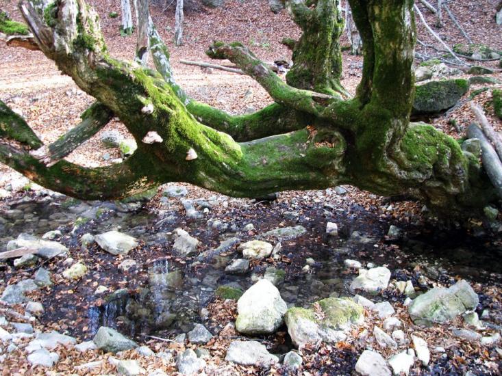 Многоріччя з panoramio.com - Многоречье