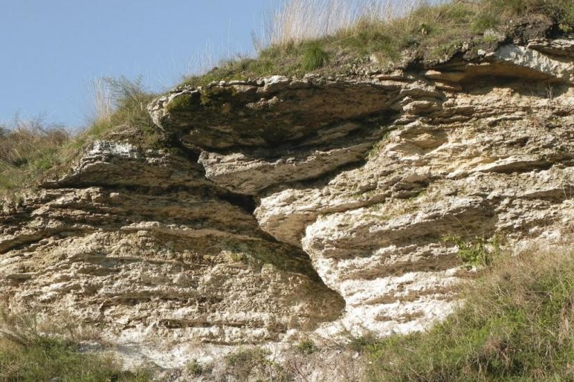 Підлісці з panoramio.com - Підлісці