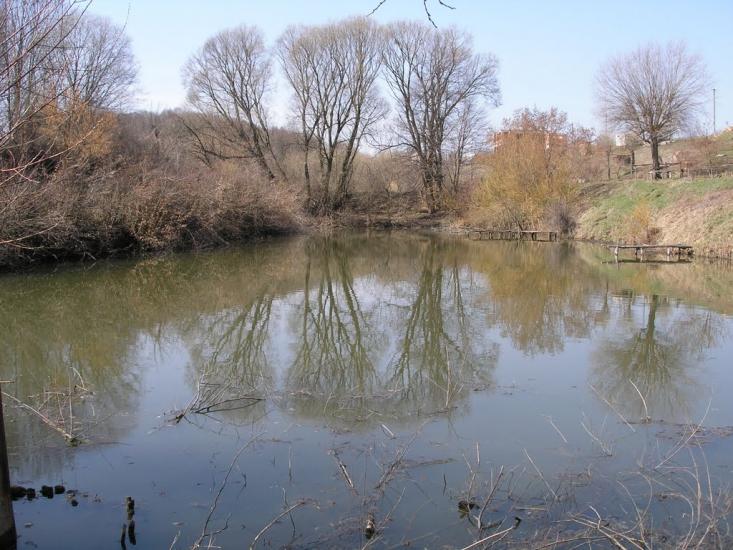 Зарванці з panoramio.com - Zarvantsi
