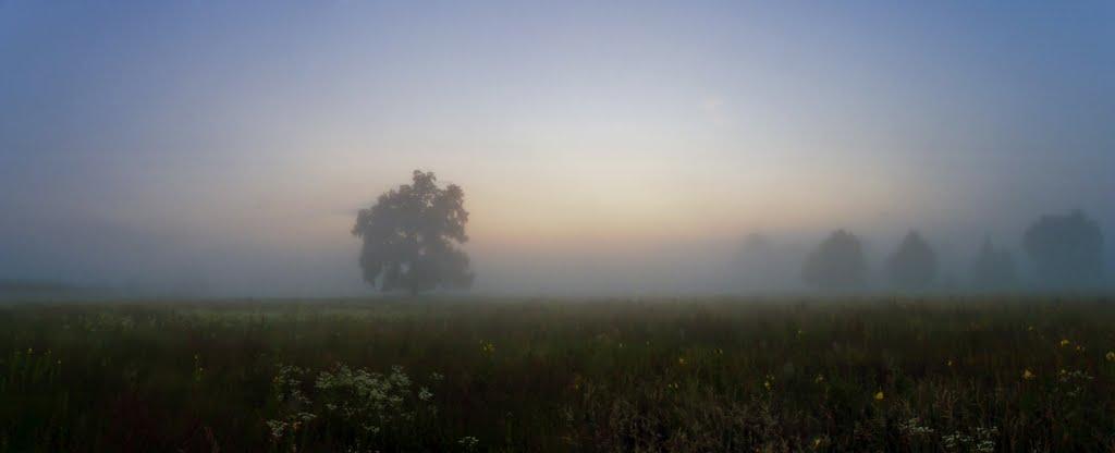 Грибова Рудня з panoramio.com - Грибова Рудня