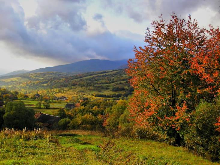 Люта з panoramio.com - Люта