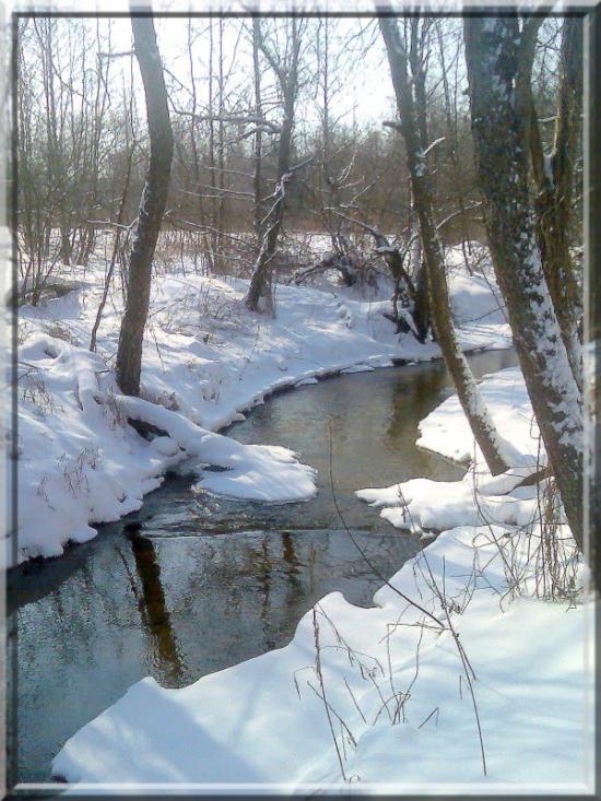 Кушкине з panoramio.com - Кушкино