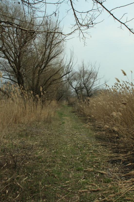 Леськи з panoramio.com - Леськи