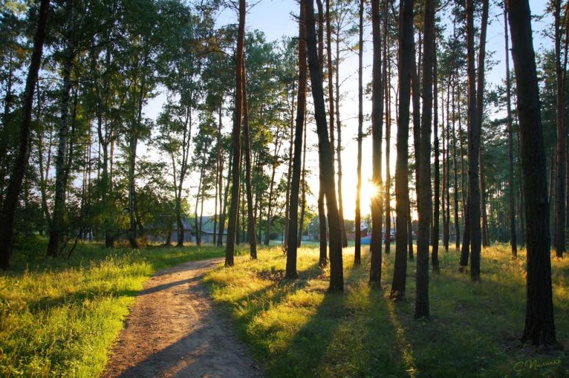 Першотравенськ з panoramio.com - Першотравенськ