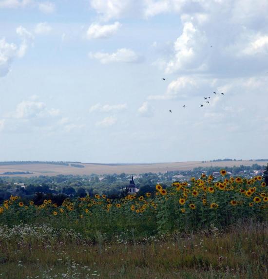 Руська Лозова з panoramio.com - Ruska Lozova