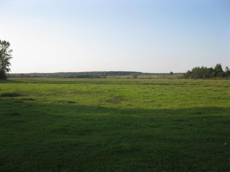 П'ятидні з panoramio.com - П'ятидні