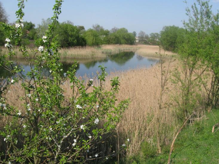 Вікно з panoramio.com - Окно