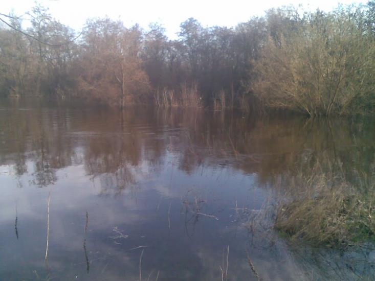 Царичанка з panoramio.com - Царичанка