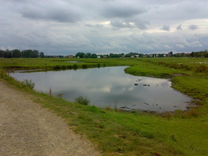 Лівчиці з panoramio.com - Лівчиці