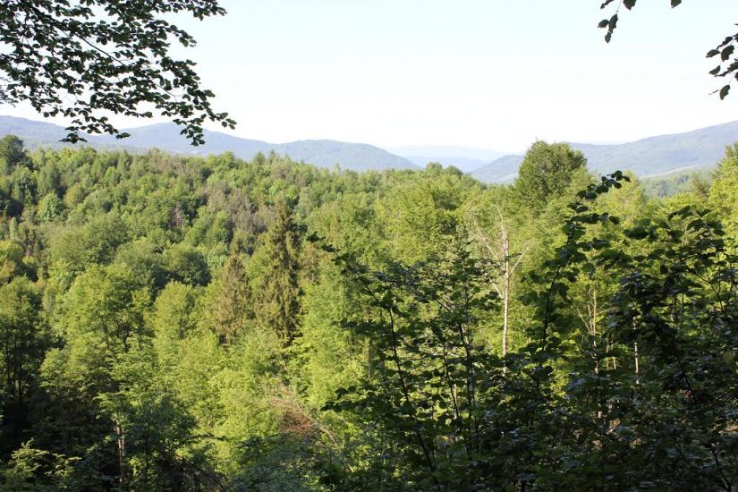 Княгиня з panoramio.com - Княгиня