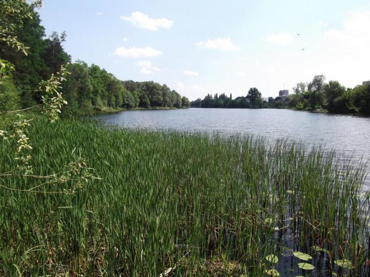 Костопіль з panoramio.com - Костополь