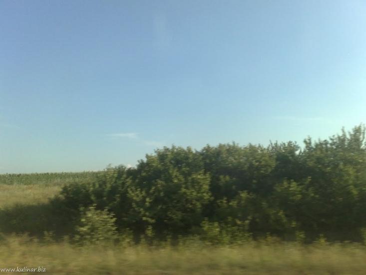 Широке з panoramio.com - Широке