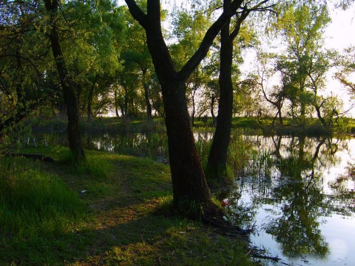 Кам'янка-Дніпровська з panoramio.com - Каменка-Днепровская