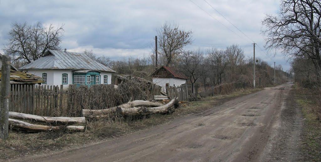 Бірки з panoramio.com - Бирки