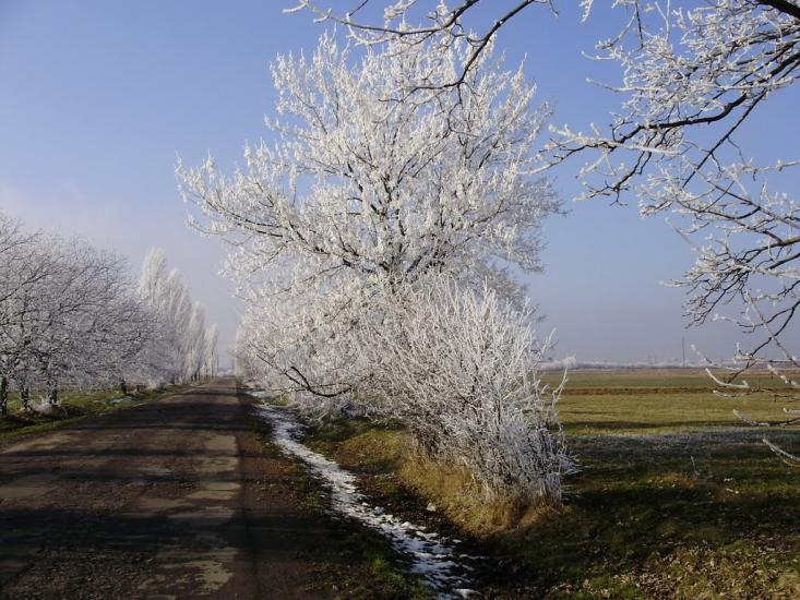 Коритняни з panoramio.com - Коритняни