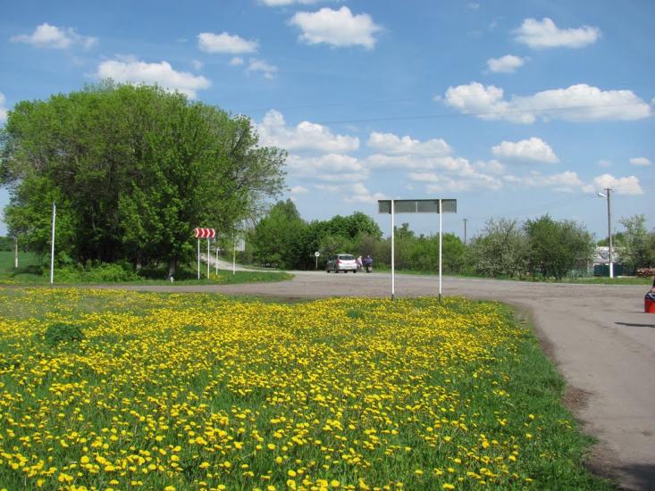 Грабовське з panoramio.com - Грабовское