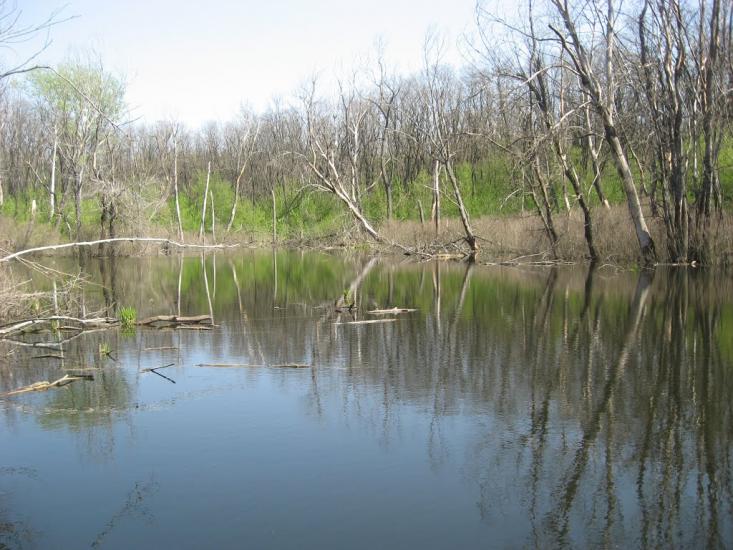 Дніпровське з panoramio.com - Дніпровське