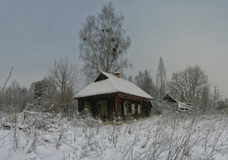 Грибова Рудня з panoramio.com - Грибова Рудня