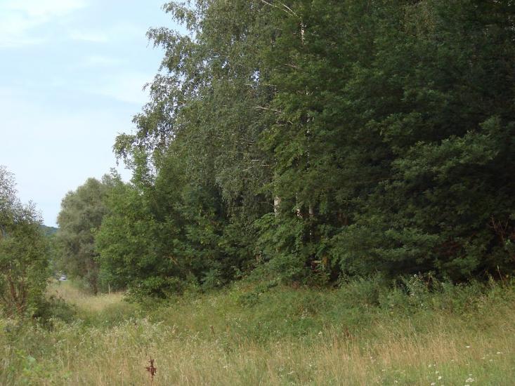 Велика Чернеччина з panoramio.com - Велика Чернеччина