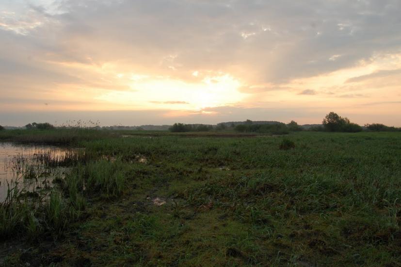 Куликовичі з panoramio.com - Kulykovychi