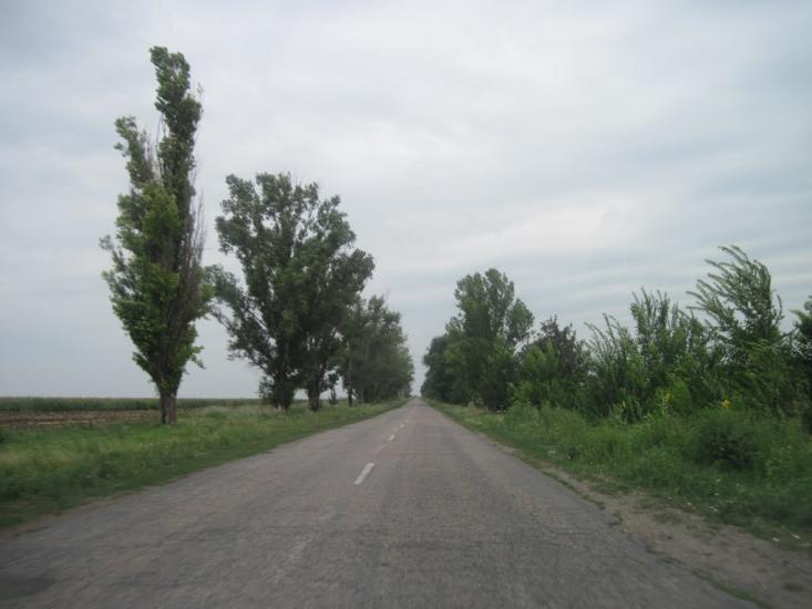 Лозуватка з panoramio.com - Лозоватка