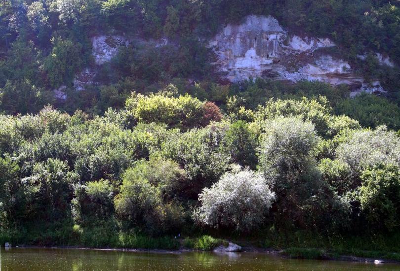 Іване-Золоте з panoramio.com - Ivane-Zolote