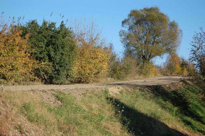 Горошівці з panoramio.com - Горошовцы