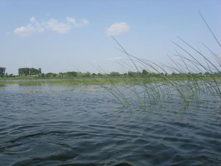 Зарічне з panoramio.com - Зарічне
