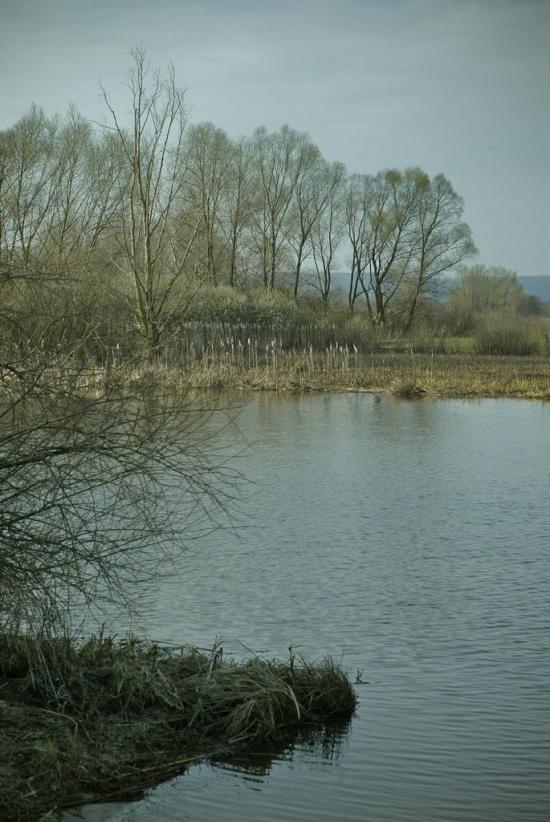 Кийлів з panoramio.com - Кийлов