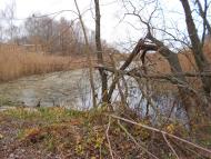 Деменці з panoramio.com