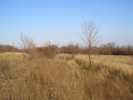 Червоний Лиман - Останні фото