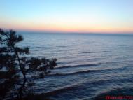 Дівички з panoramio.com