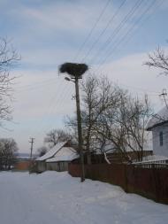 Голенищеве з panoramio.com