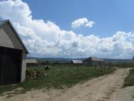 Новокленово - Последние фото