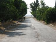 Теплівка з panoramio.com