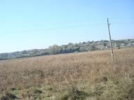 Кутківці з panoramio.com