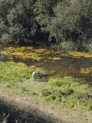 Більче з panoramio.com