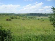 Малашівці з panoramio.com