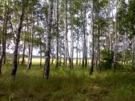 Ватутіне з panoramio.com