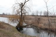 Новокатеринівка з panoramio.com