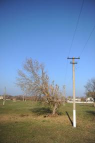 Нова Оржиця з panoramio.com