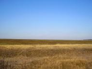 Весняне - Останні фото