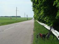 Мирне з panoramio.com