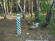 Кодра з panoramio.com