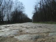 Головеньки з panoramio.com