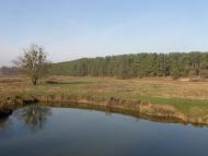 Новогуйвинське - Останні фото