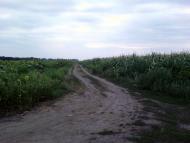 Меловая Балка - Последние фото